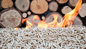 l’énergie biomasse : définition, fonctionnement et chiffres clés