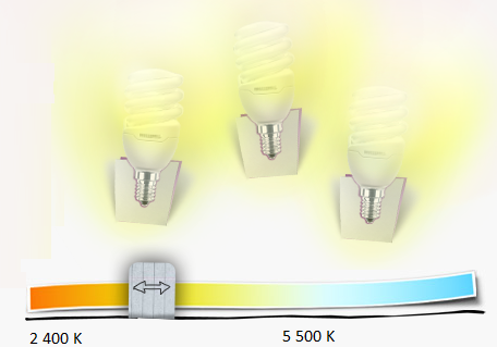 Les différents types de culot d'ampoule