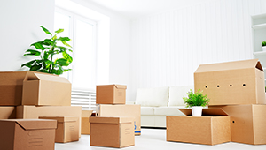 Cartons de déménagement pas chers : comment faire de bonnes affaires